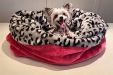 snuggle sack large, dachshund
