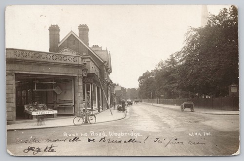 Postcard antique horse rppc - antique,