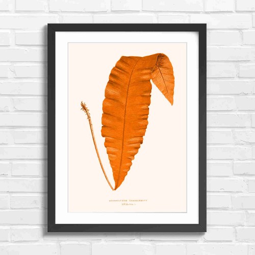 Vintage botanical fern leaf - fern,
