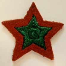 WOMENS ROYAL ARMY CORPS  DRIVERS QUALIFICATION BADGE 0R COURSE DISTINCTION STAR.