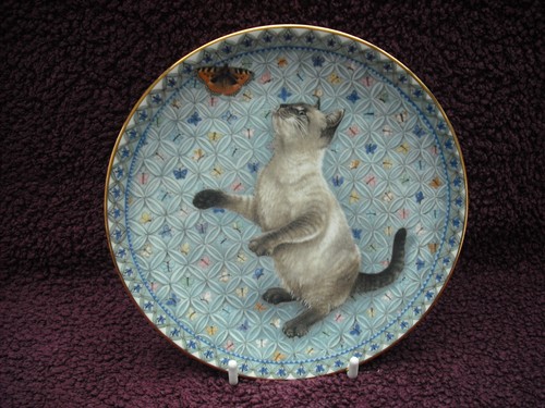 Aynsley meet kittens bone - meet,