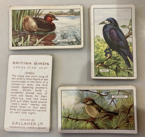1937 gallaher british birds - birds,