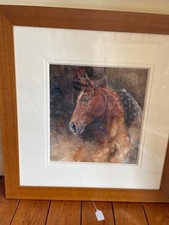 Stunning Gary Benfield (British) Limited edition print of horse 'Study VII' COA