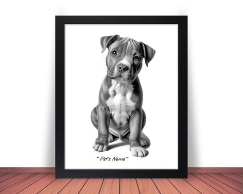 Framed personalized pit - &,