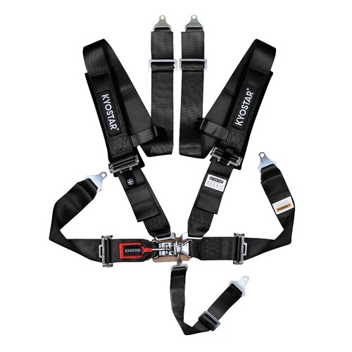 Black point racing harness - 5-point,