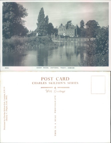 Cedar house cobham - cedar, surrey
