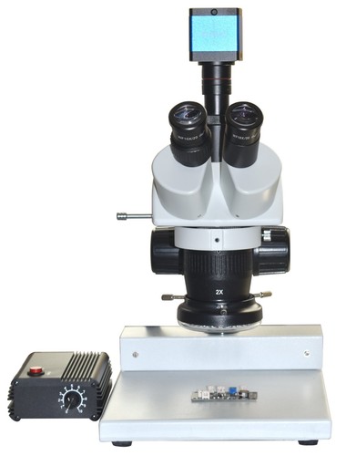 Trinocular stereo microscope - trinocular,