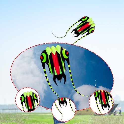 Trilobite kite easy fly - easy,