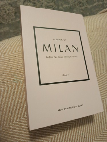 Imitation book decorative - book,