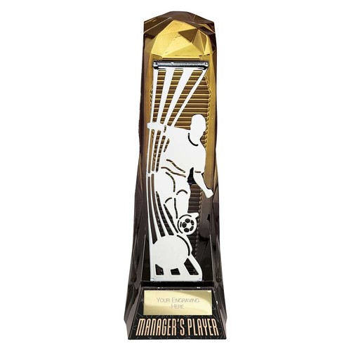 Football team trophies shard - football,