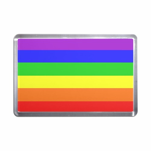 Gay flag plastic - gay,