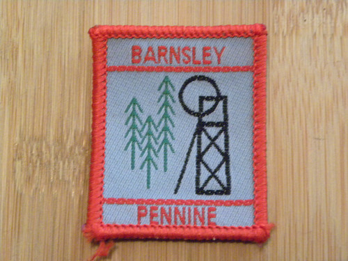 Scouting district badge - scouting,