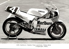 Original Agency Photo # 1986