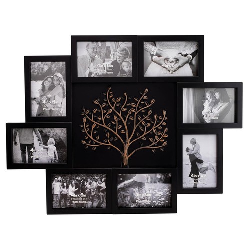 Photo frames family - tree, wall