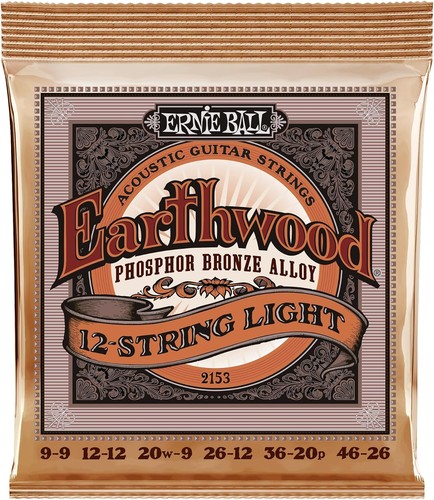 Ernie ball earthwood - ernie, 12-string