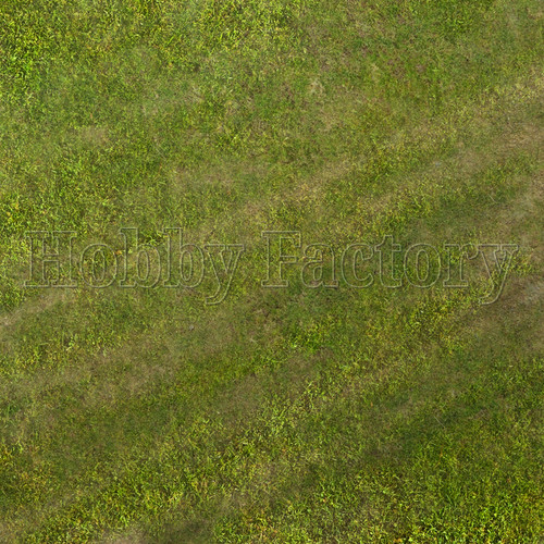Grass airfield display - grass,