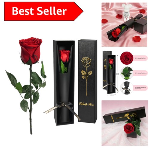 Single red preserved rose - rose,
