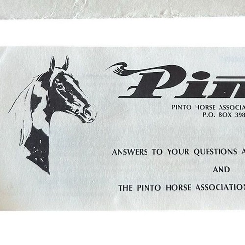 Vintage pinto horse - vintage,