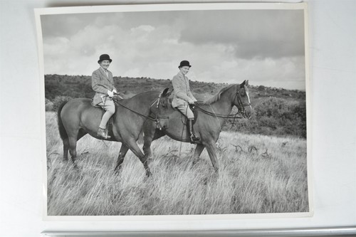 Women riding horses - 2,