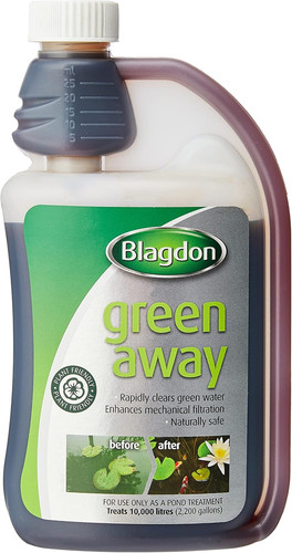 Blagdon green away pond - away,