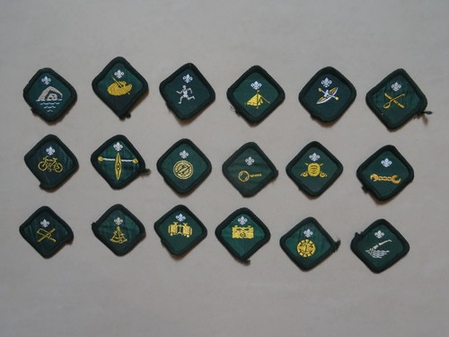 Scout proficiency badges - scout,