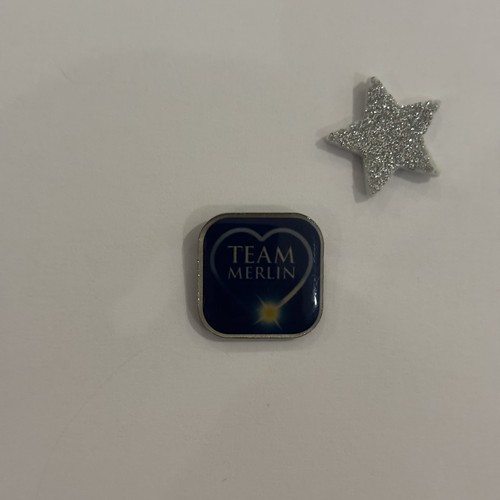 Merlin entertainments team - merlin,