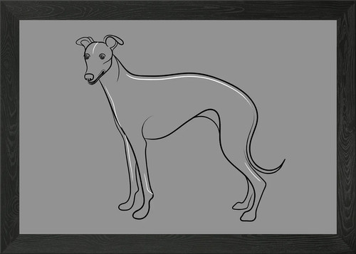 Whippet dog framed wall - whippet,