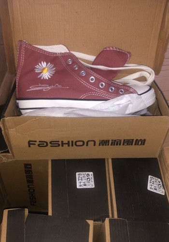 Stunning burgundy daisy - burgundy,