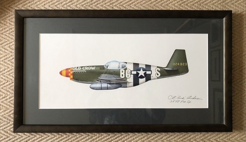 Mustang old crow - p-51,