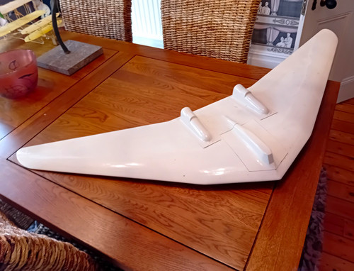 Horten flying wing engel - horten,