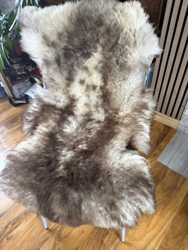 Sheepskin hide rug - sheepskin, brown