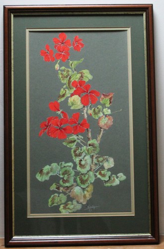 Red geraniums framed - red,