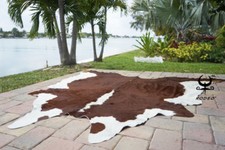 Rodeo Hereford Brazilian