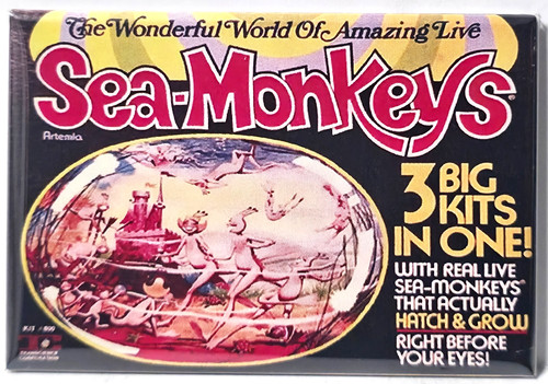 Sea monkeys magnet - sea, 2"x3"