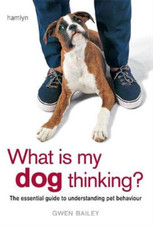 What is My Dog Thinking?: The Essential Guide to Understanding Your Pet, Bailey,