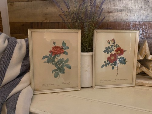 Framed vintage pair - pair, rose
