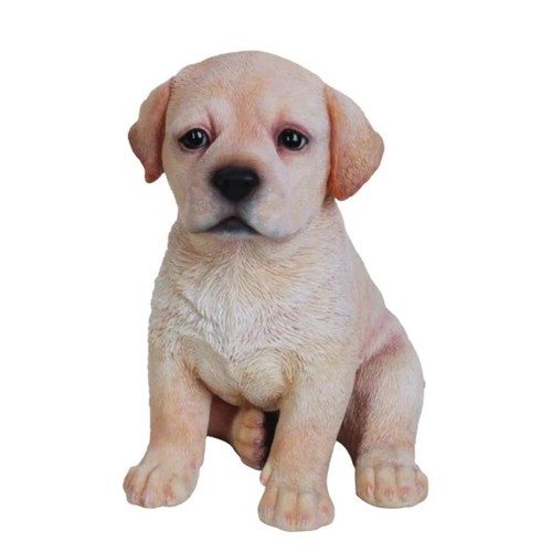 Vivid arts golden labrador - vivid,