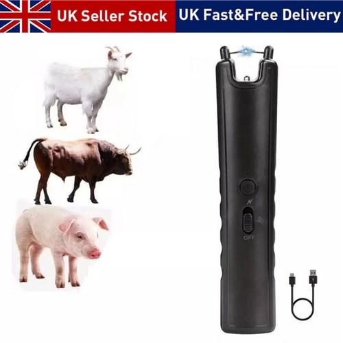 Livestock pig cattle moving - livestock,
