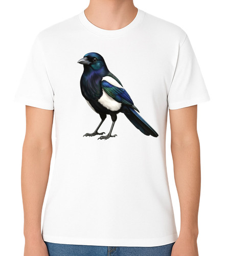 Magpie bird illustration - magpie,