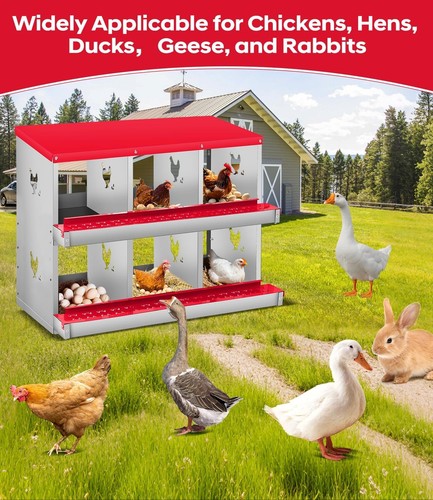 Compartment chicken nest box - chicken,
