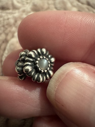 Genuine pandora june birthday - pandora,