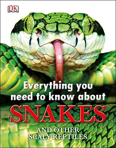 Everything you need know - everything, to