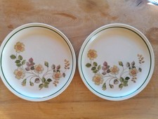 2 x M&S Autumn Leaves 10.5"