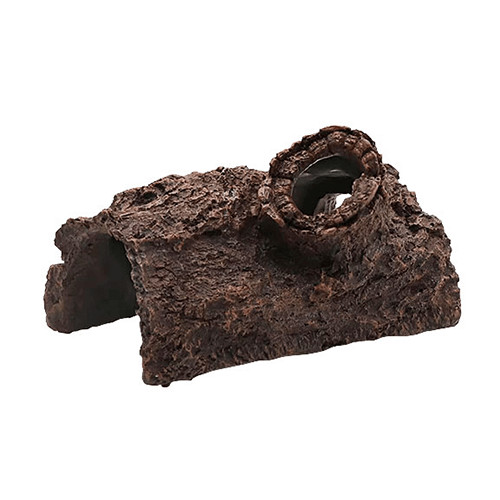 Swell tree bark - bark,