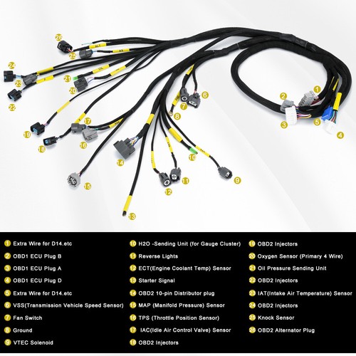 Obd2 budget b series - obd2, &