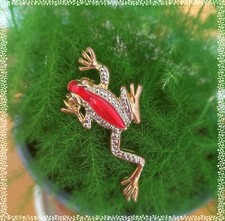 Red poison arrow frog broch ? Peru rain forest frog brooch