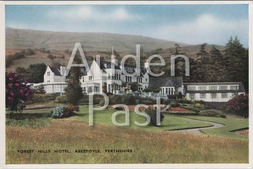 Forest hills hotel aberfoyle - forest,
