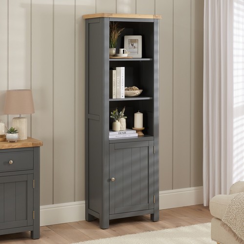 Bookcase with door cupboard - bookcase,