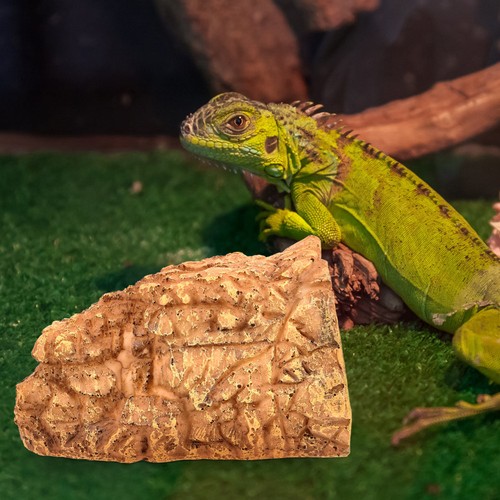 Reptile tank accessories - tank,