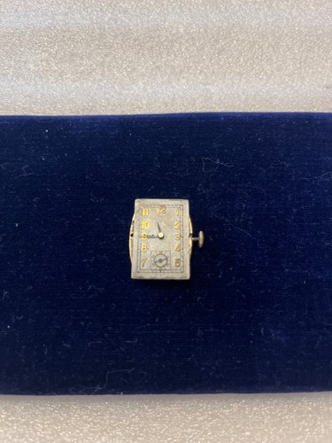 Helvetia rolled gold - helvetia, curved
